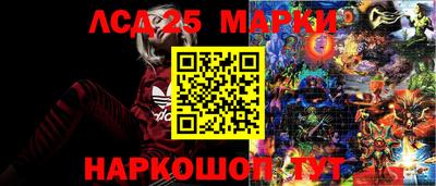 mdpv Заводоуковск